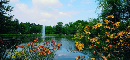 Main image for gallery Rhododendronpark Hobbie