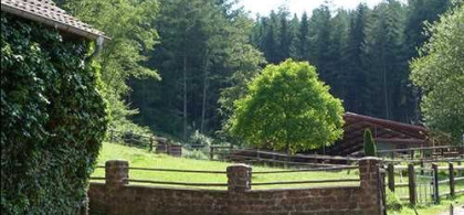 Main image for gallery Weitere Eindrücke