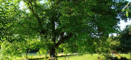 Main image for gallery Eindrücke