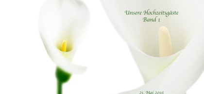 Main image for gallery Gästealbum