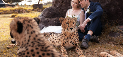 Main image for gallery Amy & Jason