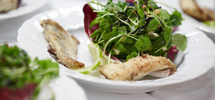 Main image for gallery weitere Impressionen