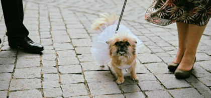 Main image for gallery Ein Tag im September