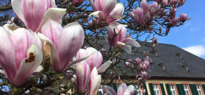 Main image for gallery weitere Impressionen