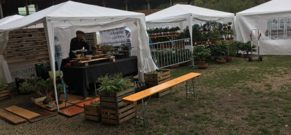 Main image for gallery Impressionen