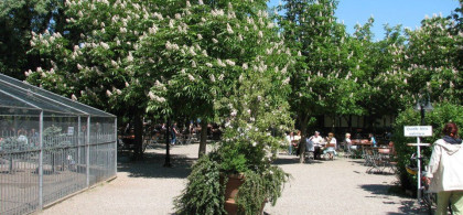 Main image for gallery Impressionen