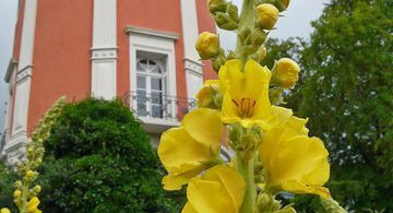 Main image for gallery Impressionen