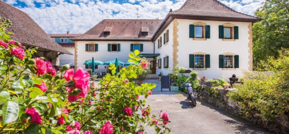 Main image for gallery Impressionen