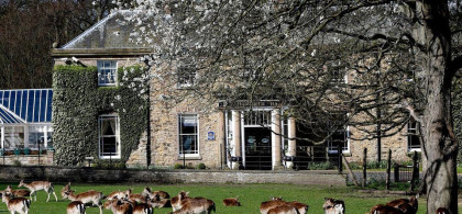 Main image for gallery Impressionen