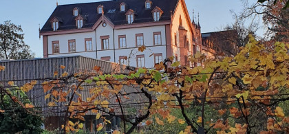 Main image for gallery Impressionen