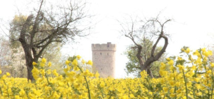 Main image for gallery Impressionen