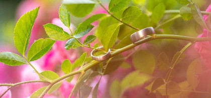 Main image for gallery Hochzeiten