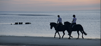 Main image for gallery Weitere Eindrücke 