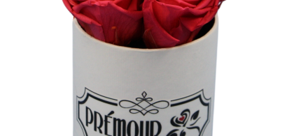 Main image for gallery Rosenbox