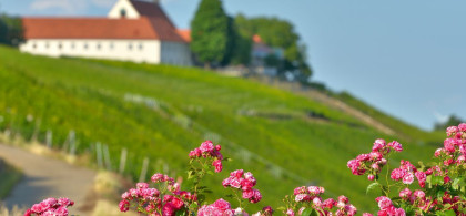 Main image for gallery impressionen