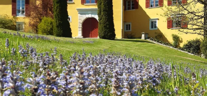 Main image for gallery Impressionen