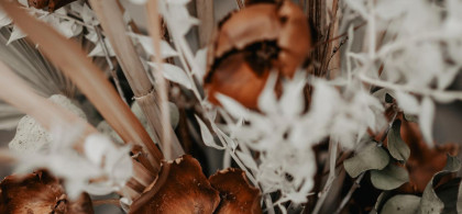 Main image for gallery After Wedding Boho