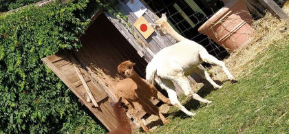 Main image for gallery Impressionen