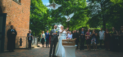 Main image for gallery Doves