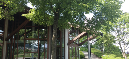 Main image for gallery Impressionen