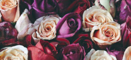 Main image for gallery Weitere Impressionen 