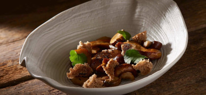 Main image for gallery Impressionen