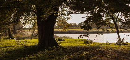 Main image for gallery Gutspark