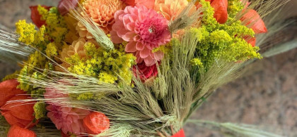 Main image for gallery Erste Eindrücke 