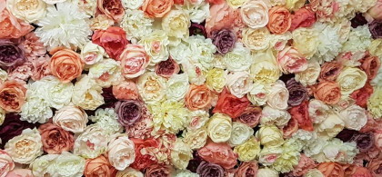 Main image for gallery Bunte Blumenwand