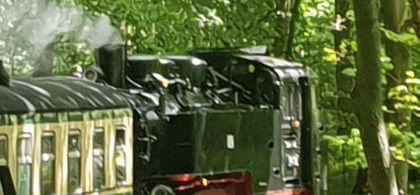 Main image for gallery Rügen_entdeckt die Möglichkeiten