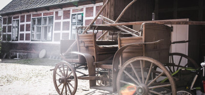 Main image for gallery Impressionen Vom Hof und Feierlichkeiten