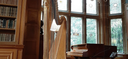 Main image for gallery Harfe im Schloss