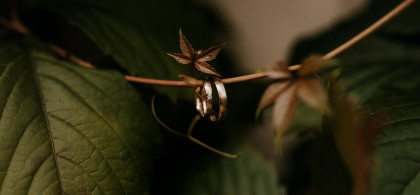 Main image for gallery Beautiful Wedding Rings