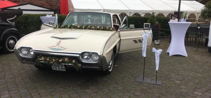 Main image for gallery Traut euch!