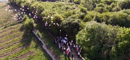 Main image for gallery Weitblick im Weinberg