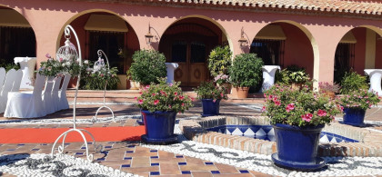 Main image for gallery Deatils