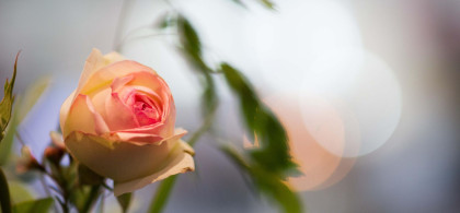 Main image for gallery Location & Ambiente