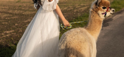 Main image for gallery Eindrücke