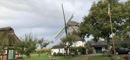 Main image for gallery Mühlengelände