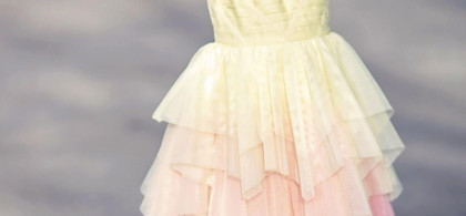 Main image for gallery Die Hochzeit aus Kinderaugen