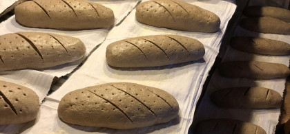 Main image for gallery im Backhaus bei der Mühle Munkbrarup