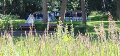 Main image for gallery Freie Trauung im Park