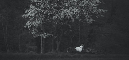 Main image for gallery Wedding 2019 & 2020