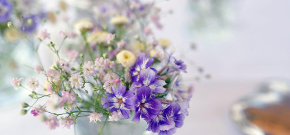 Main image for gallery Emotion statt Perfektion.