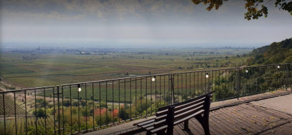 Main image for gallery Blick nach Süden