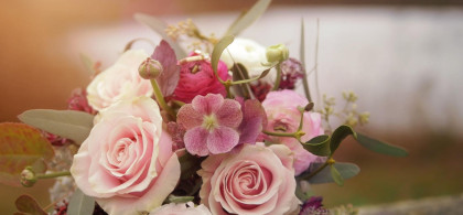 Main image for gallery Schloss Seehof