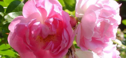 Main image for gallery Eindrücke