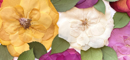 Main image for gallery Personalisierte Kunstwerke - das perfekte Geschenk zur Hochzeit oder für die Hochzeitsgäste