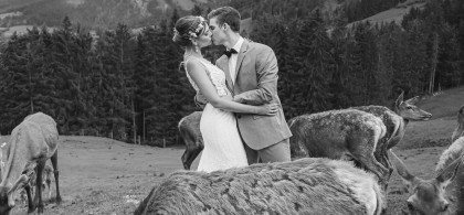 Main image for gallery Portfolio