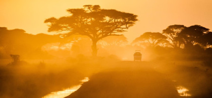 Main image for gallery Safari Erlebnisse auf Flitterwochen Rundreise